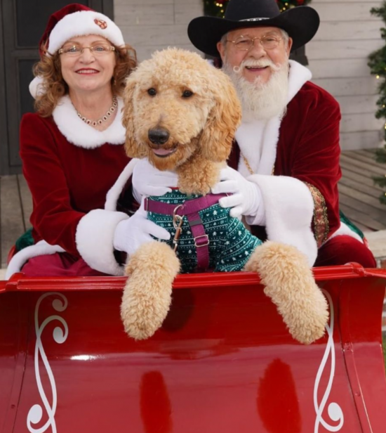 KHV Holiday on the Harbor